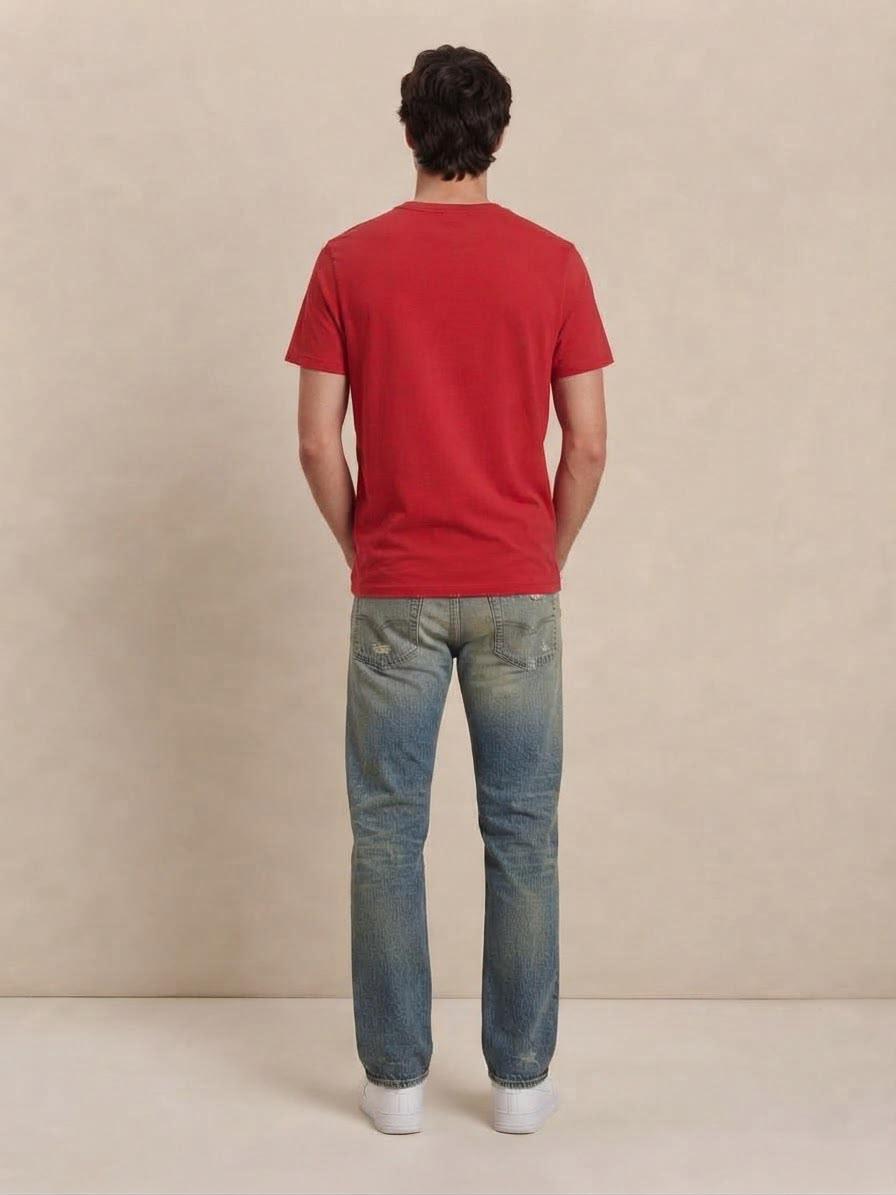 T-Shirt Hollister
