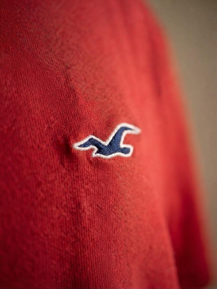 T-Shirt Hollister